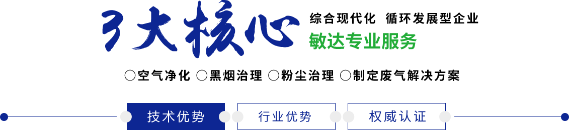 大鸡巴内射视频敏达环保科技（嘉兴）有限公司